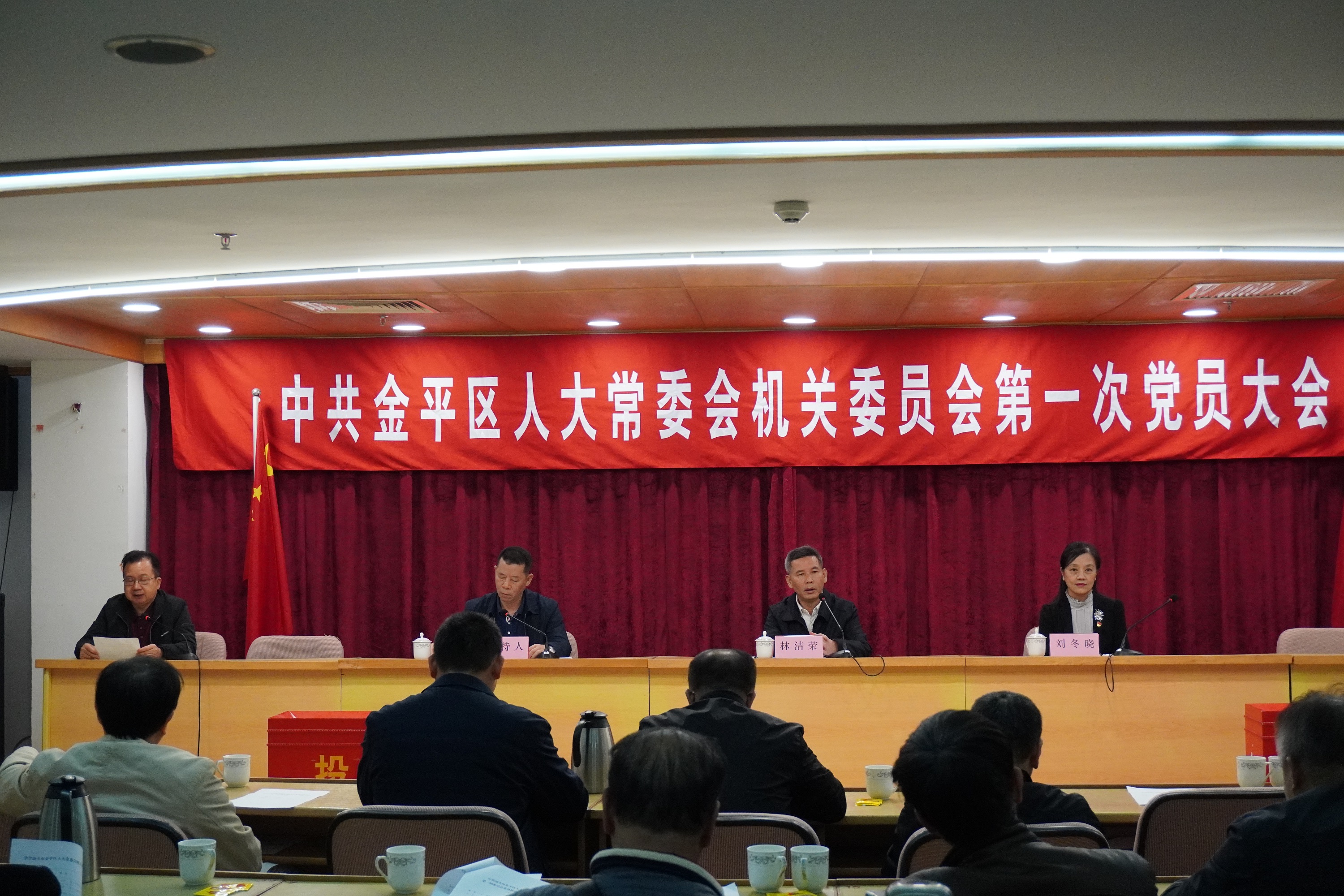 区人大常委会党组书记、常委会主任林洁荣同志讲话.JPG